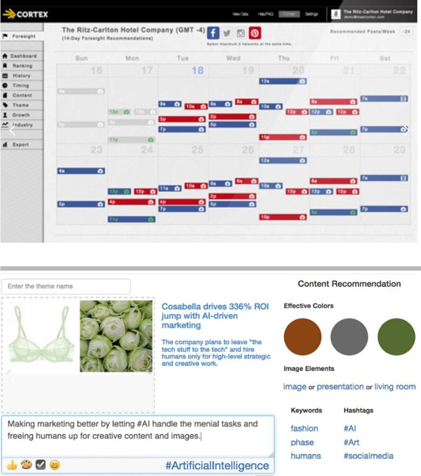 Cortex post plan