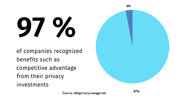 Privacy investment survey