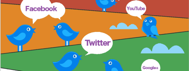 social media birds 640x240