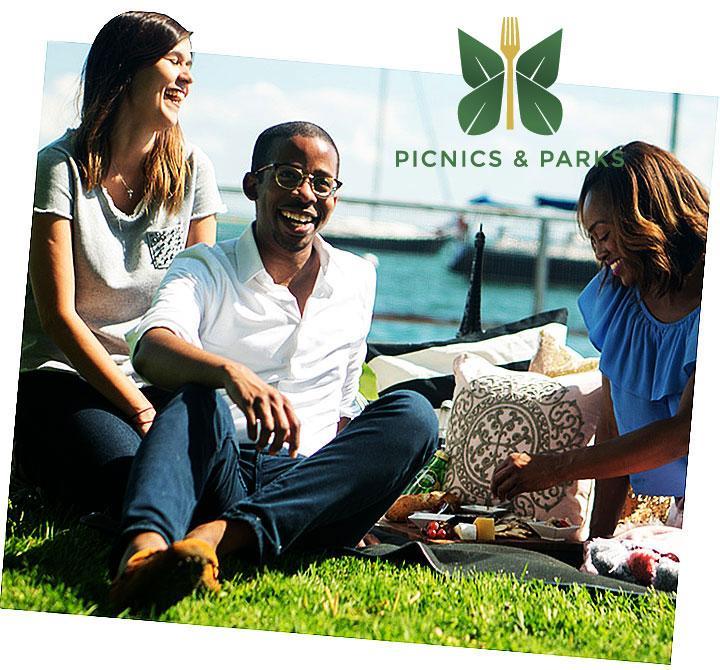 Picnics cover final logo