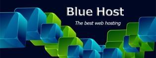 Set up a website on Bluehost in minutes!