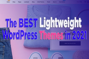 Which Are The Best Lightweight WordPress Themes In 2021?