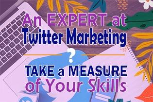 Do You Call Yourself an Expert at Twitter Marketing? Take a Measure of Your Skills